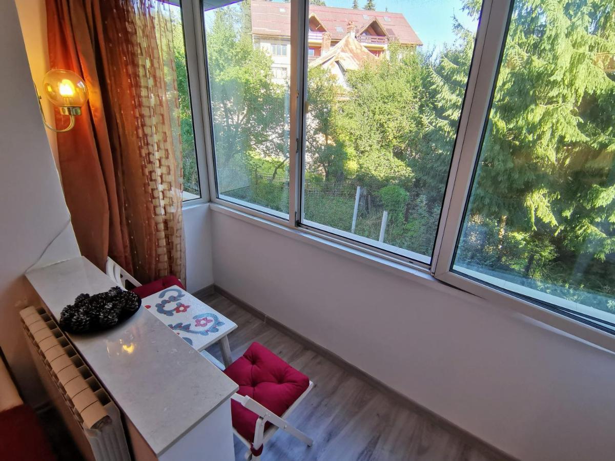Cosy 2 Rooms Apartment With A View Near The Forest Predeal Exterior photo
