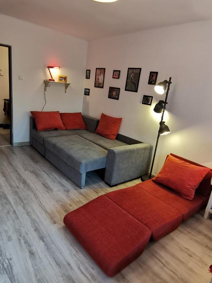 Cosy 2 Rooms Apartment With A View Near The Forest Predeal Exterior photo