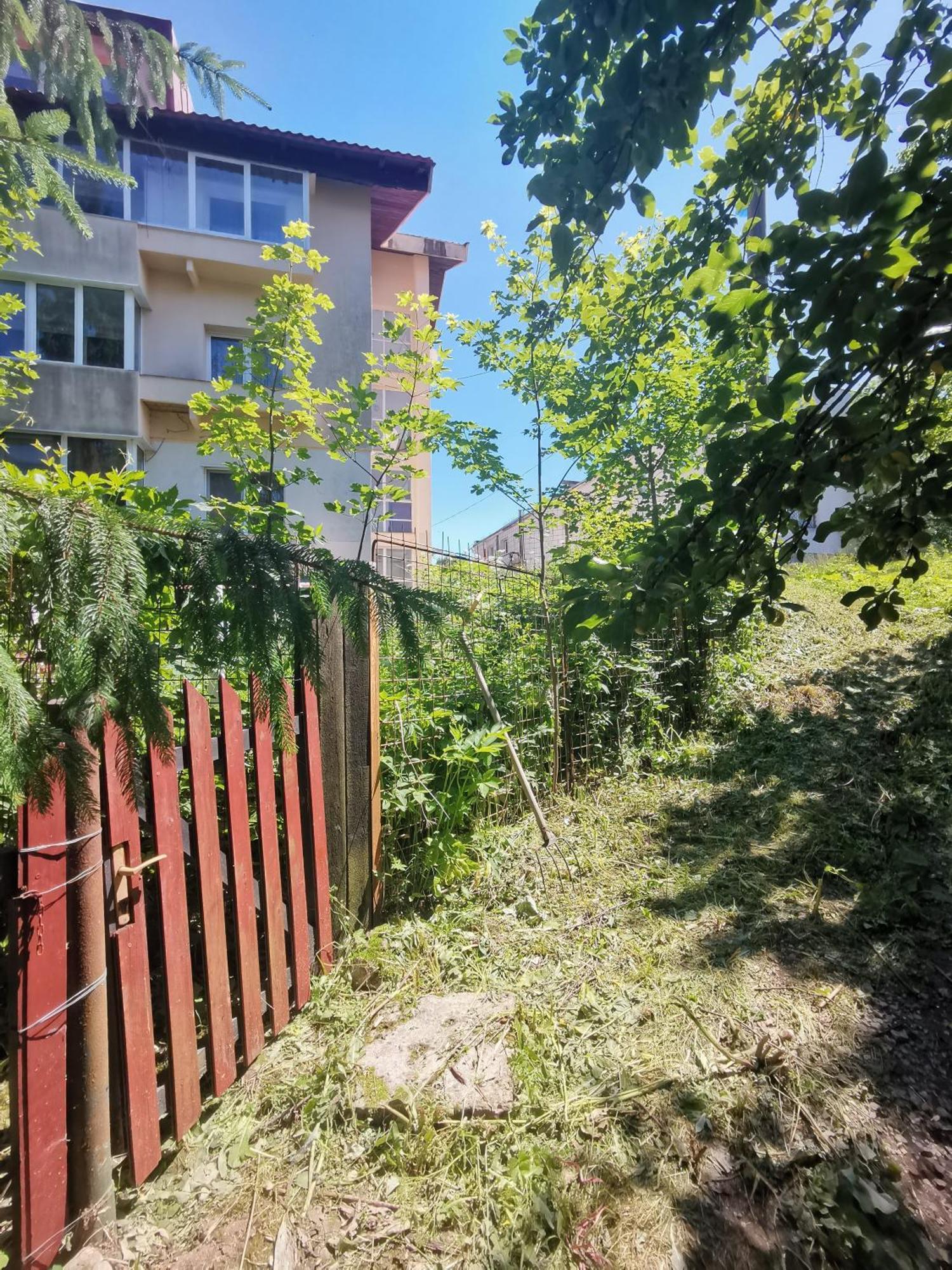 Cosy 2 Rooms Apartment With A View Near The Forest Predeal Exterior photo
